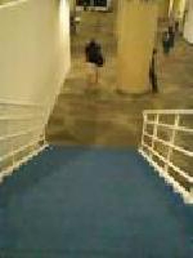 [２０１４/８/９]<br /><br />最後に階段で1階へ下りて行きました。