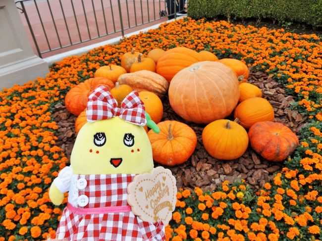 17東京ディズニーランド ワンマンズドリーム ハロウィンパレード ミニー オー ミニー エレクトリカルパレード ワンスアポンアタイム イクスピアリ ドリームゲートホテル舞浜 東京ディズニーリゾート 千葉県 の旅行記 ブログ By Fuzzさん フォートラベル