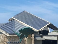 2日目昼頃、熱もだいぶ下がり、寝ているのにも飽きてしまったらしいので美ら海水族館へ。