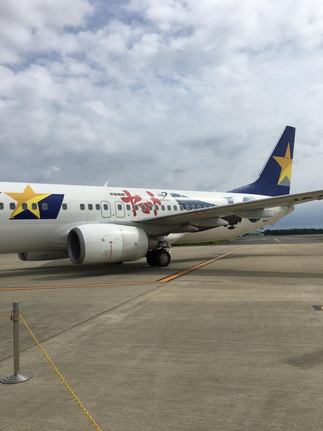 今回はヤマトジェット。ロープが張られているため、肝心の宇宙戦艦部分の写真が取れません。<br />とは言え、小さい頃に懐かしのアニメ特集的な番組でしか見たことがないので、あまり思い入れも強くはないのですが…