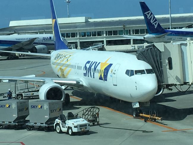 帰りは阪神タイガースジェットでした。