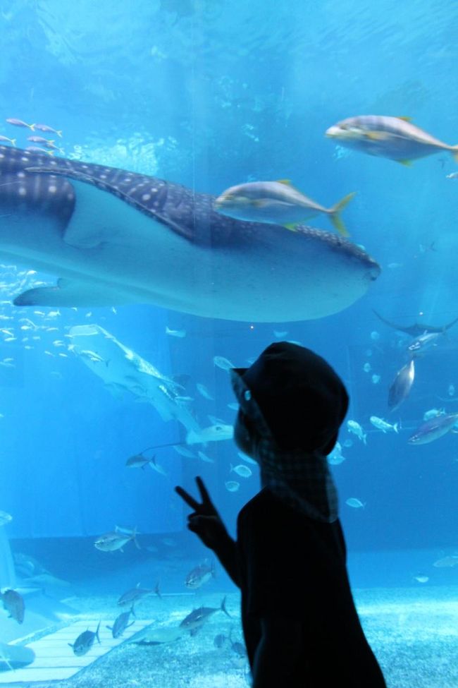 ピースをする余裕も