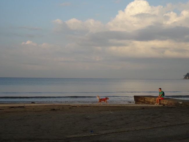 絵になるー( ´艸｀)<br /><br />朝ごはんの時間が近づいてきたので宿に戻ります☆