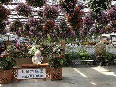掛川花鳥園

ここはかちょーえん
かちょーえんとよく聞くので一度は来てみたいところでして。

ハシビロコウさんに会いたかったの(^_-)-☆
