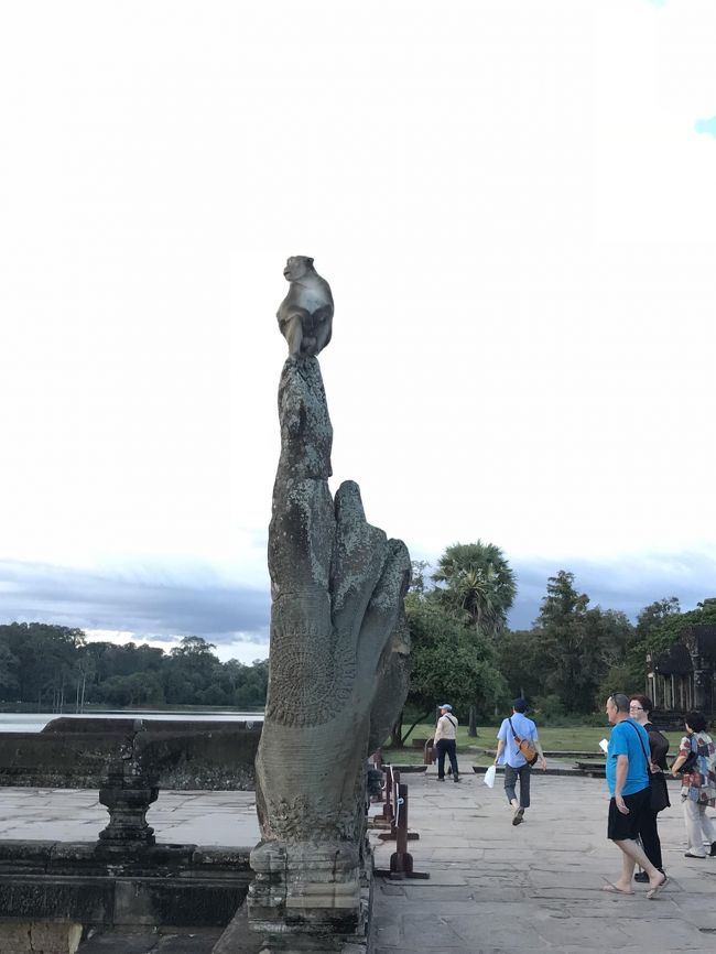 アンコールワット西塔門近くにて。<br />お猿さん発見。