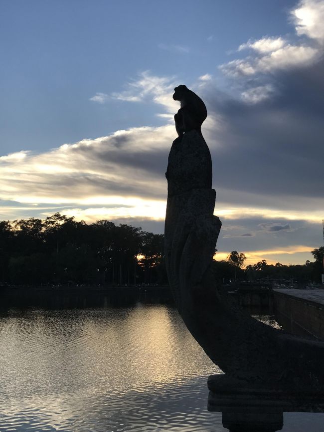 サンセットwithモンキー。もうちょっと太陽が顔を出してくれたらなー。<br />まあ、これはこれで良かったかも。<br />周りで沢山の観光客がこのお猿さんを撮影していましたが　人間慣れしているようで全く動じずたそがれているお猿さんでした。<br />