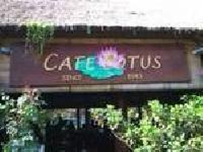 [２０１４/８/９]<br /><br />ウォーターパレスでは毎週　日・火・木・土　に公演が行われるので、　夕食を取りながら公演が楽しめます。公演は19：30頃に行われるので、遅くとも18：30～19：00には席を確保する必要があるかも。