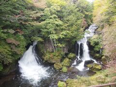 この行った１～２週間くらい後には見頃を迎えると思います