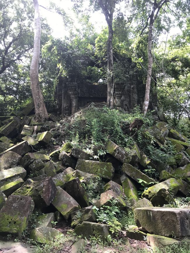 4日目<br />雲はあったけど、この日は1日中晴れ。この日の夜、シェムリアップ空港をたちました。結局、４泊５日の旅行中　一度もレインコートや雨傘を使わなかったなー。<br /><br />午前中はベンメリアへ。　花束の池という意味らしい。<br /><br />天空の城ラピュタのモデルとなったと噂される遺跡。確かに熱帯樹が遺跡に絡みついている様はラピュタっぽい。でも本当は、ラピュタが公開された1986年頃はこの遺跡周囲は悪路で　とてもじゃ無いけど観光客が来れるような場所ではなかったらしい。