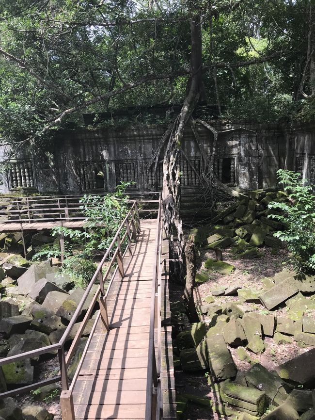 フランス映画　「two brothers」の撮影時に木道が組まれたそうです。<br />ありがたい。