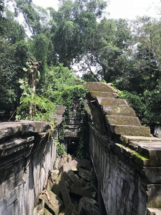 回廊の一部に屋根が残っているところがありました。<br />今みたいにセメントなんてないから　石の継ぎ目からどうしても崩れちゃうよね。<br /><br />ガイドさんは、雨が降ると　積み上げた石の角っこが徐々に丸くなるから　継ぎ目から雨漏りが始まり、最終的にずれ落ちて崩壊する。とか言ってた気がします。