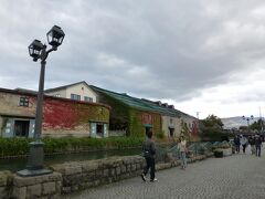 小樽運河は　多くの観光客で賑わっていました。運河沿いの倉庫の蔦が紅葉してキレイ！でも寒い！