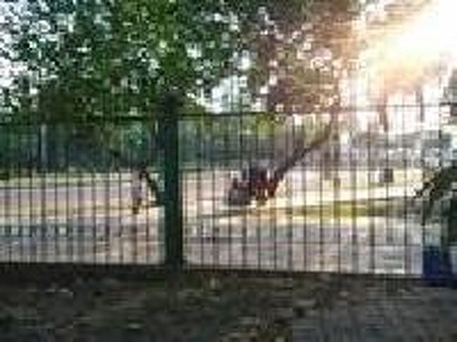 [２０１４/８/１０]<br /><br />駅の西側と東側には、このようなフェンスがあって、自由に出入りできないようになっています。