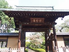 豪徳寺は招き猫発祥の地としても知られていますが、彦根藩主井伊家墓所でもあります。