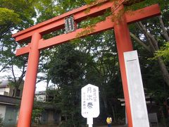 次に向かったのは駅の反対側に喘卯世田谷八幡宮。
源義家が、宮の坂の地で豪雨に遭い、天候回復を待つため滞在した、という話が残されています。