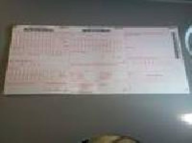 [２０１４/８/１１]<br /><br />出発すると、すぐキャビンアテンダントからシンガポールの出入国カードが配られました。<br /><br /><br />③エアアジアと東南アジア周遊の旅(シンガポール編)へ続く・・・・