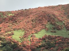 峠の茶屋近くの展望台から。赤と緑のコントラストが美しい。