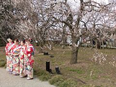 偕楽園の梅と、梅大使。