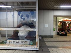 上野に移動

パンダでかすぎ！