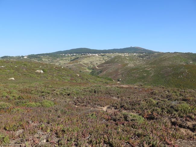 振り返れば草原？