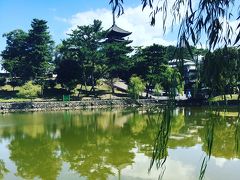 翌日は興福寺。猿沢池からの五重塔は鉄板！