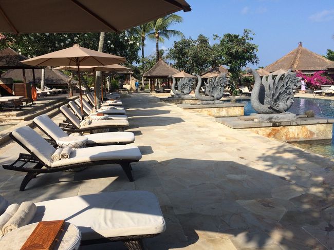 次は上に戻って、大きめのプールへ！