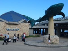 駐車場から少し歩いて沖縄美ら海水族館に着きました。