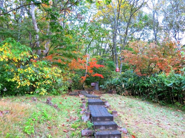 朝7:00　登山口がある笹ヶ峰キャンプ場を出発。<br />のっけからこのカラフルさである。<br /><br />それはそうとここまでの道のり。<br />混雑はするだろうと予測はしていた。なので駐車場には6:15には到着していたのだが、恐るべし火打山、考えが甘かったことを思い知らされる。<br />駐車場は既に満車。路肩に停める車、この時点ですでに多数。<br />ようやく1台のスペースを見つけ、身支度を整えた時は既に計画タイムを30分ロス･･･