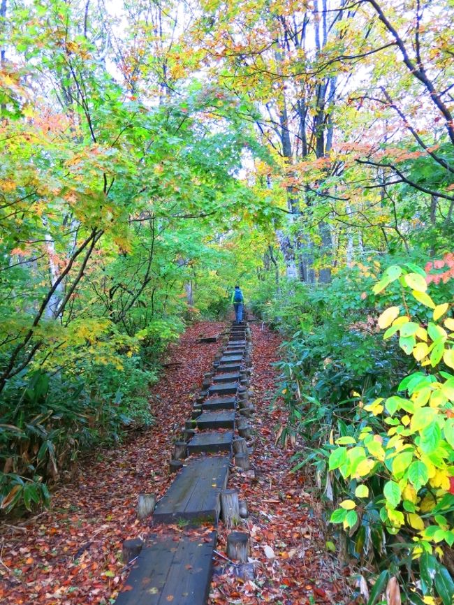 緑も混じり、絶妙なグラデーションの中を行く。
