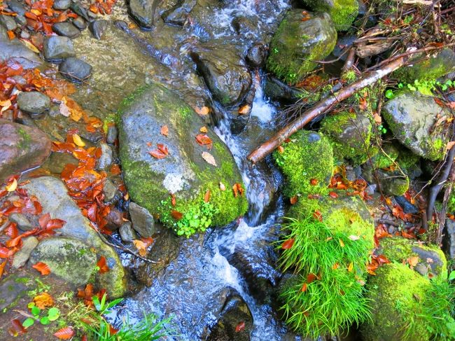 足元は･･･<br /><br />これで楽しくないわけがない