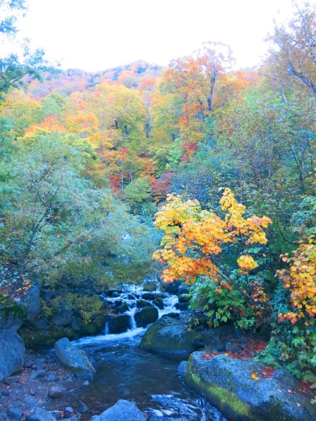 黒沢橋　7:46<br /><br />光りが強すぎて、妙な色になってしまったが、橋の上からの眺め、良し。<br />ここで一息つく人も多い。