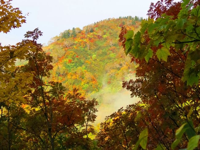 おぉ～～～っ<br /><br />「もこもこのフェルト手芸のよう」(by picotabiさん)<br />言い得て妙なので、借用させていただきました　m(__)m<br /><br />湧き立つ靄もイイね