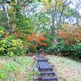 【錦秋・雲海・草紅葉】上越の名山　火打山日帰り登山