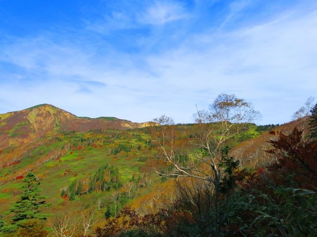 美し～～<br /><br />説明不要の美しさ