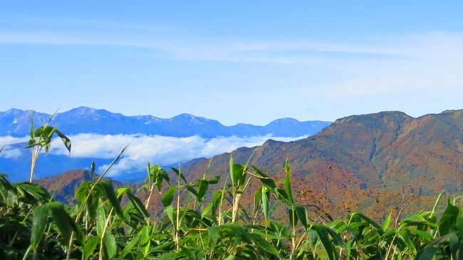 白馬岳も大雪渓も<br /><br />何とも贅沢な景観