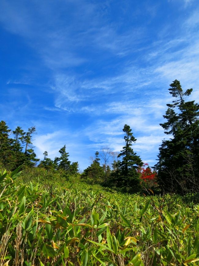 雲はすっかり秋