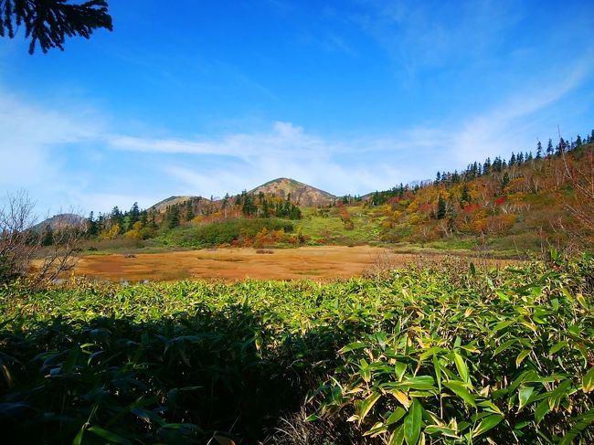 一面　草紅葉<br />バックに火打山<br /><br />そうか、湿原か<br />ところどころに池塘が見える。
