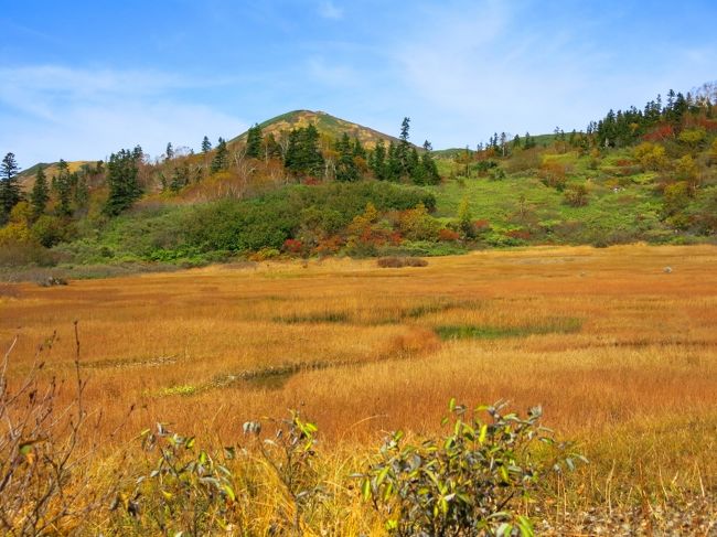 これもまた絶景なり。