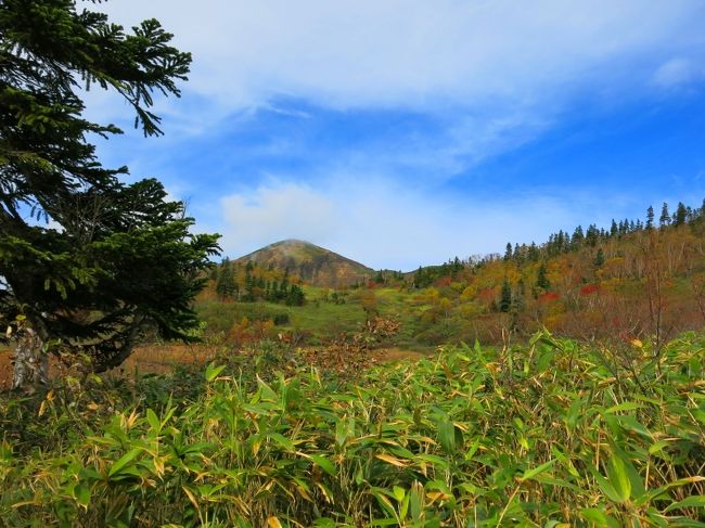 我らも昼食。30分ほど休憩し出発。10:45