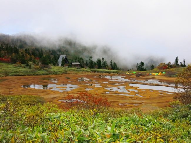 回り込んで見下ろすに高谷池。<br />カラフルなテントに池塘群。