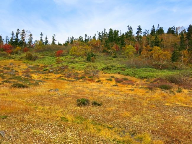 草紅葉、侘び寂び