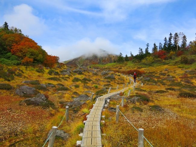 贅沢な庭園を行く