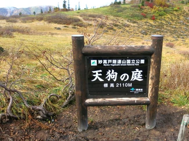 天狗の庭　11:07