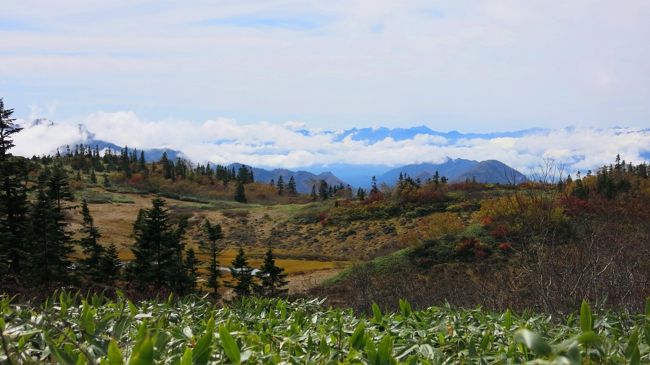 最後のピークに取り付く斜面。<br />見下ろす天狗の庭、遥か彼方に北アルプス。<br /><br />さて、今回はピークハントはせず、ここで折り返し。<br />意外に長いルート、ぬかるんだ道、相方が苦手な下り、何よりスタートの遅れ。<br /><br />私よりピークハントしたがる相方が笑顔のままゴールできるように。