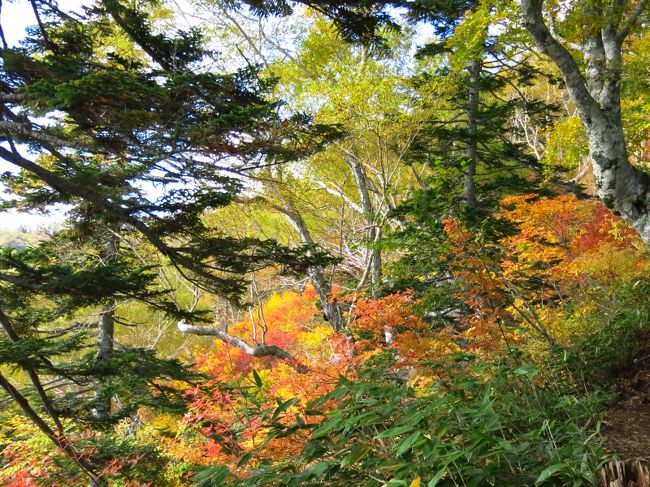 朝よりもさらに鮮やかに