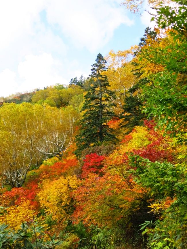 こんな素晴らしいグラデーションを眺め