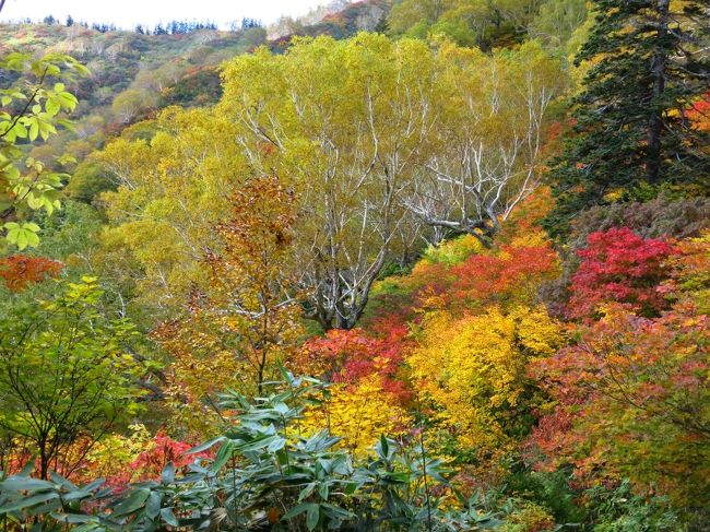 感嘆、ただただ感嘆
