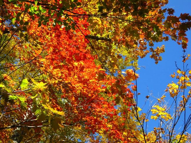 存分に堪能できたことに感謝