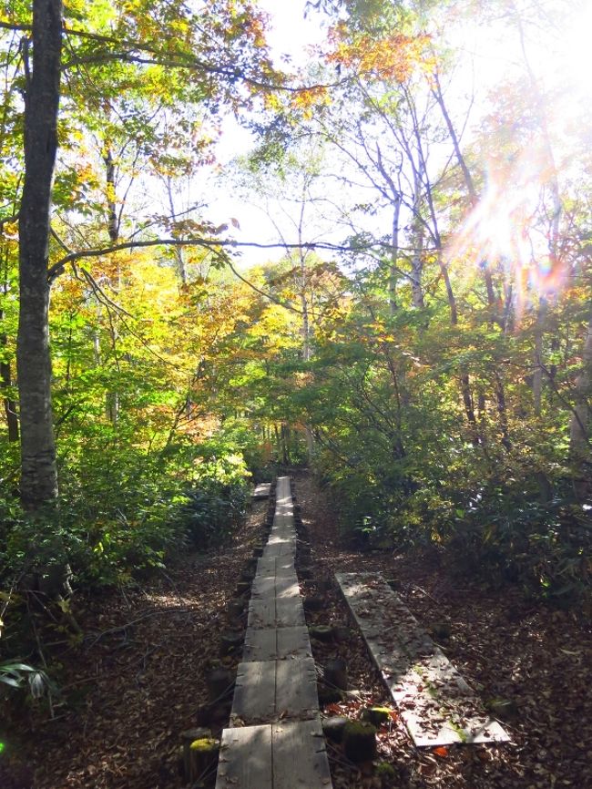 いよいよゴール。<br />こういう風景も嫌いじゃない。