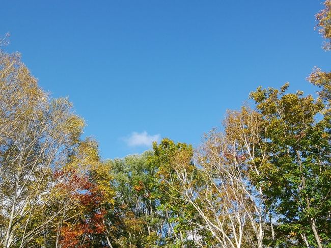 完全下山　15:10<br /><br />駐車場からの空。<br />駐車場は思ったほど空いていなかった。多分、これから1時間が下山のピークだろう。<br />あとは今夜は山小屋泊・テント泊で明日下山と言う人たちか。<br /><br />実はここからがけっこう慌ただしかった。
